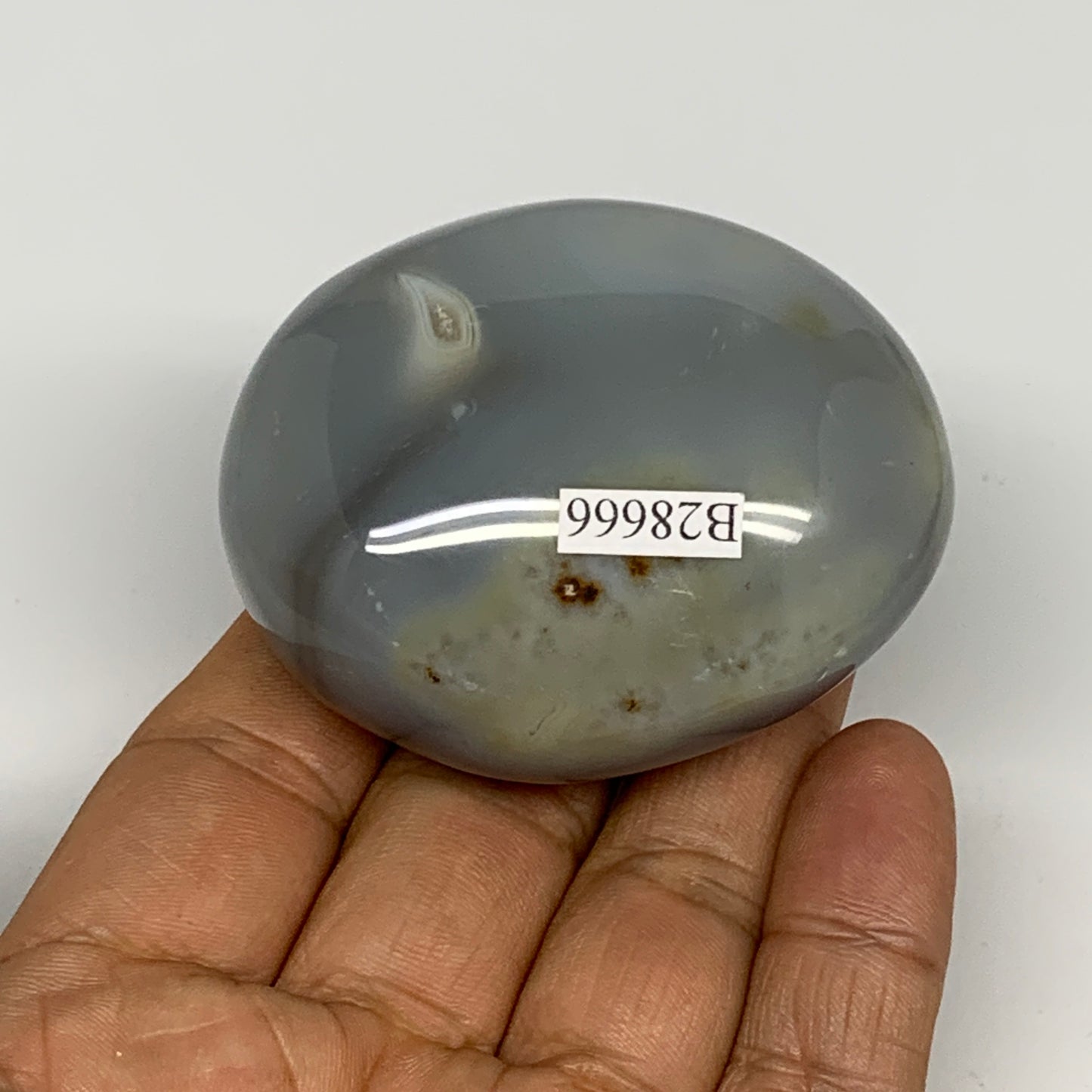 122g, 2.3"x1.9"x1.2" Orca Agate Palm-Stone Reiki Energy Crystal Reiki, B28666