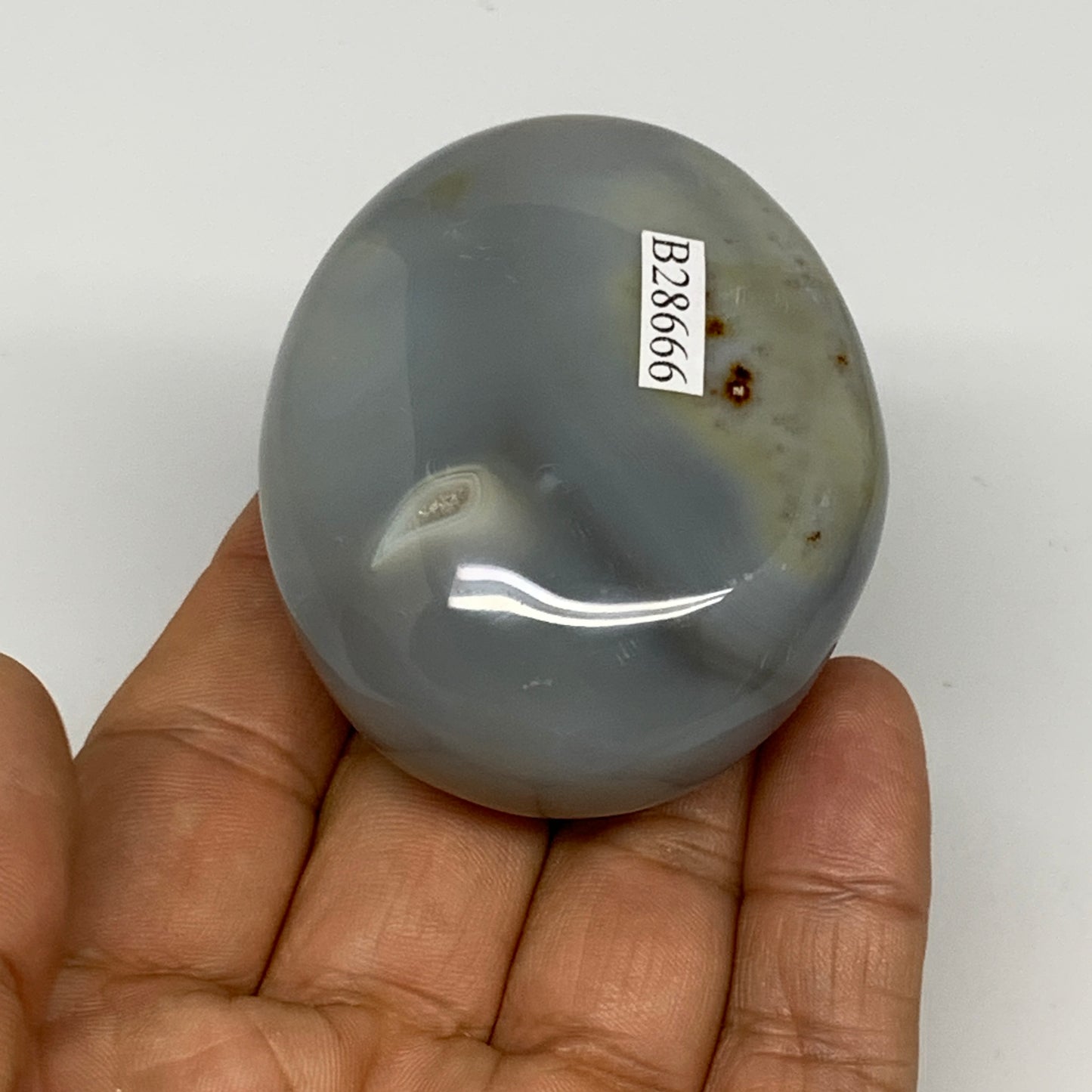 122g, 2.3"x1.9"x1.2" Orca Agate Palm-Stone Reiki Energy Crystal Reiki, B28666