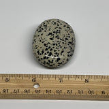 85.8g, 2.4"x1.7"x0.8", Natural Dalmatian Jasper Palm-Stone @India, B29445