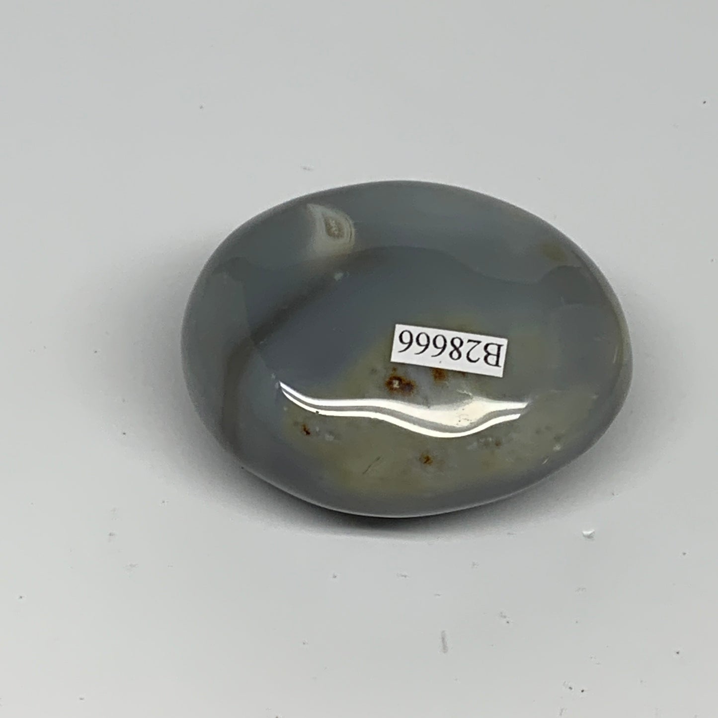 122g, 2.3"x1.9"x1.2" Orca Agate Palm-Stone Reiki Energy Crystal Reiki, B28666