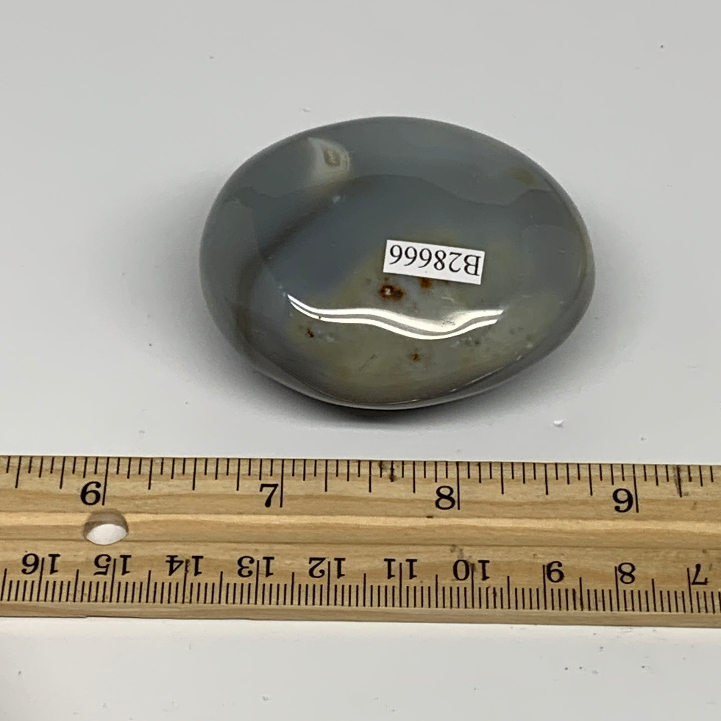 122g, 2.3"x1.9"x1.2" Orca Agate Palm-Stone Reiki Energy Crystal Reiki, B28666