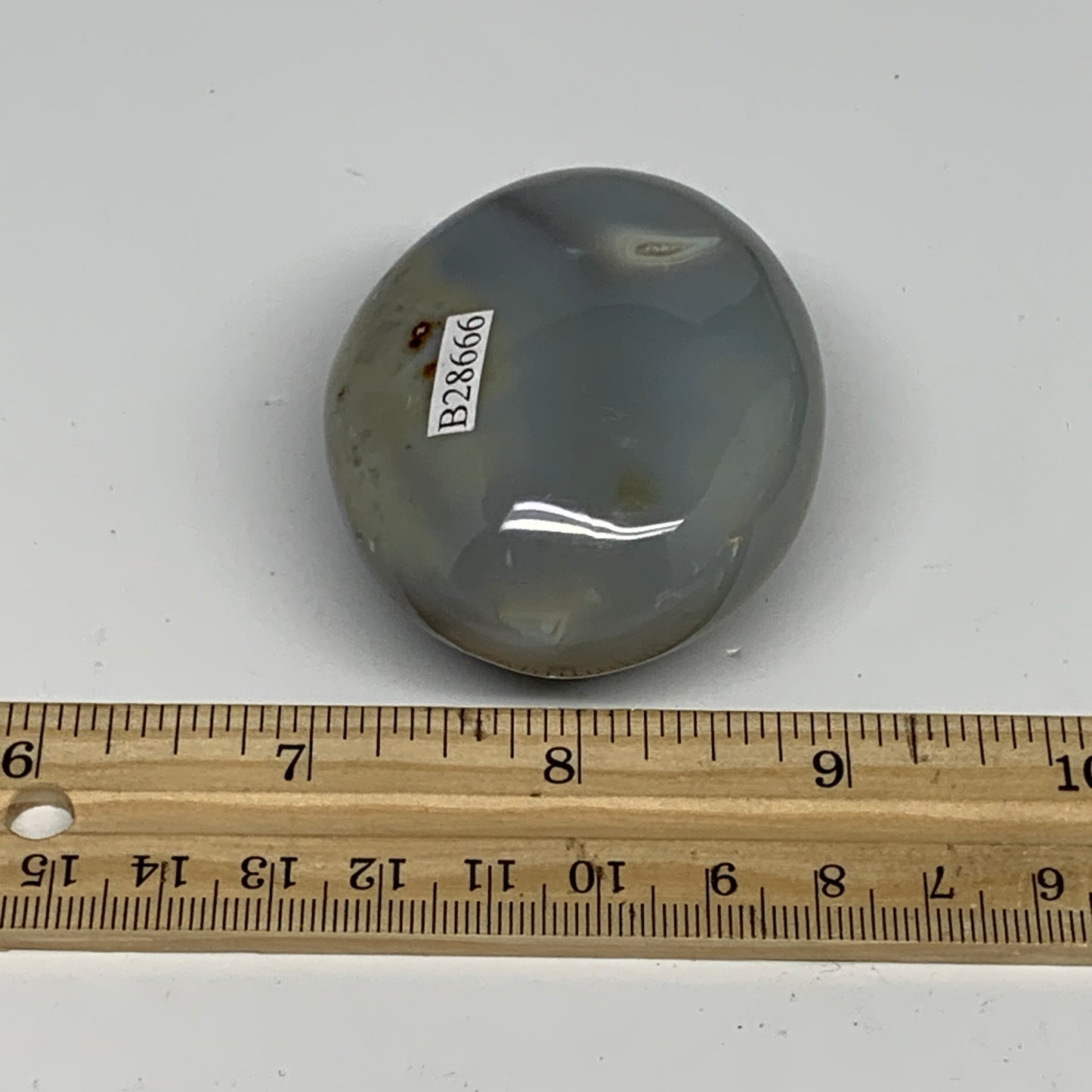 122g, 2.3"x1.9"x1.2" Orca Agate Palm-Stone Reiki Energy Crystal Reiki, B28666