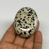 79g, 2.2"x1.7"x0.8", Natural Dalmatian Jasper Palm-Stone @India, B29447