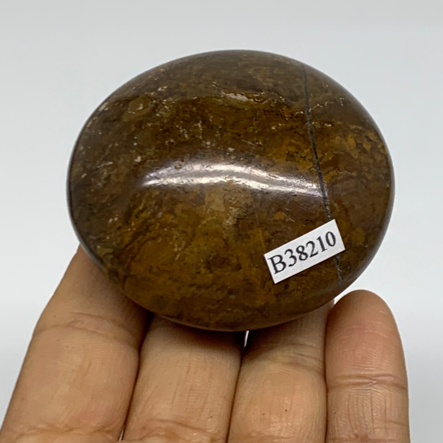 152g, 2.4"x2.2"x1.3" Natural Ocean Jasper Palm-Stone Orbicular Jasper, B38210