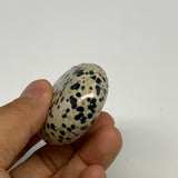 79g, 2.2"x1.7"x0.8", Natural Dalmatian Jasper Palm-Stone @India, B29447