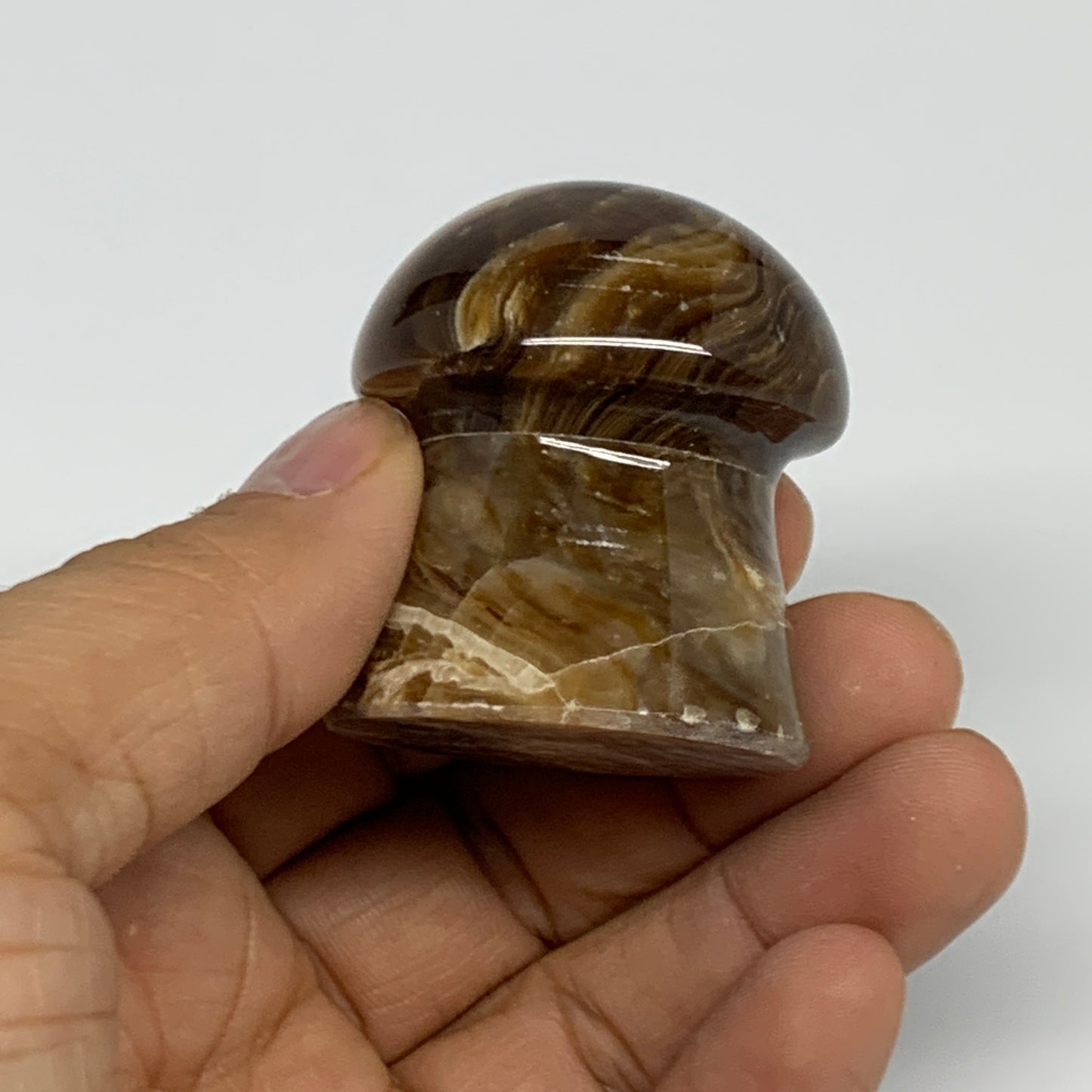 88.6g, 1.7"x1.4", Chocolate Calcite Mushroom 2 Pieces bonded @Pakistan, B31703