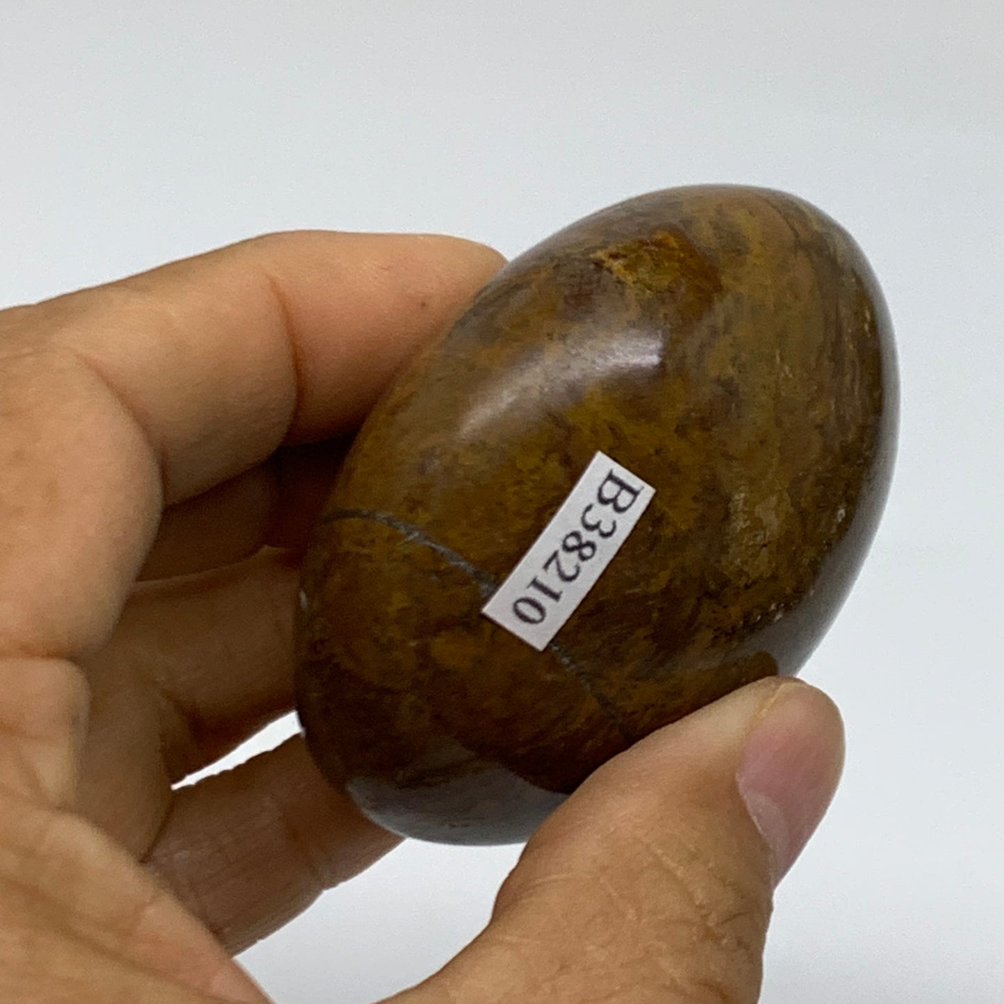 152g, 2.4"x2.2"x1.3" Natural Ocean Jasper Palm-Stone Orbicular Jasper, B38210