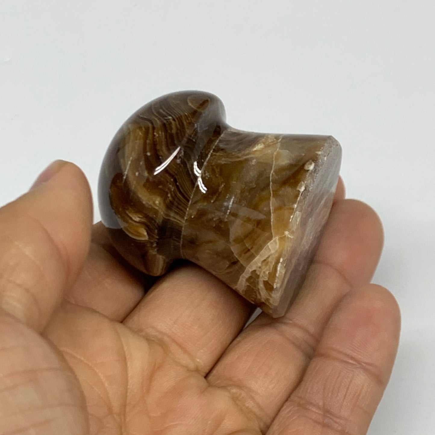 88.6g, 1.7"x1.4", Chocolate Calcite Mushroom 2 Pieces bonded @Pakistan, B31703