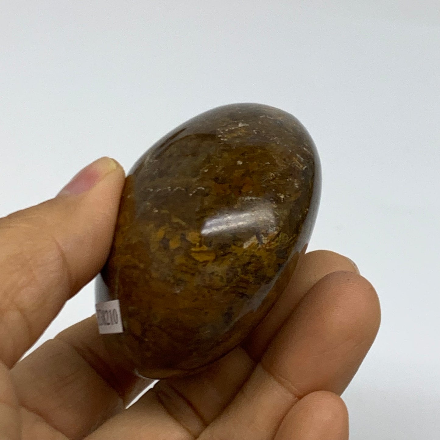 152g, 2.4"x2.2"x1.3" Natural Ocean Jasper Palm-Stone Orbicular Jasper, B38210