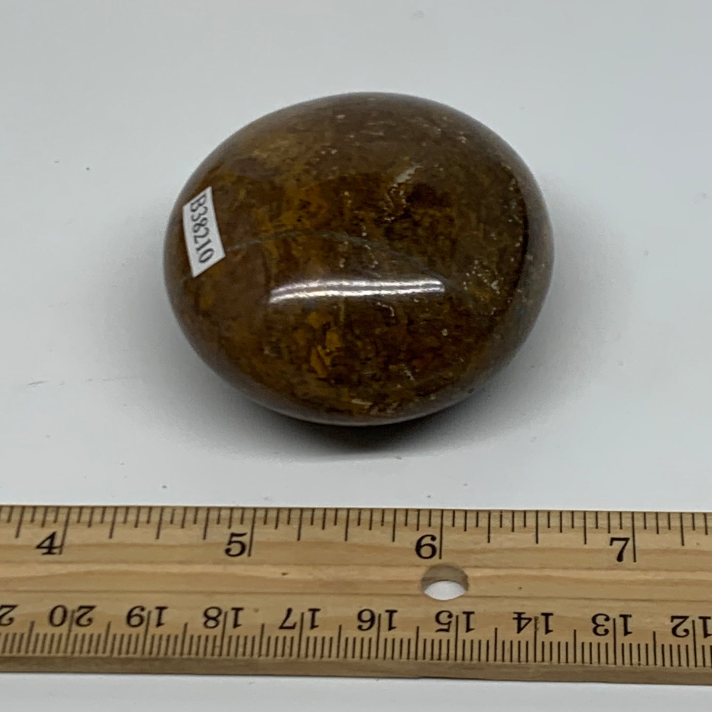 152g, 2.4"x2.2"x1.3" Natural Ocean Jasper Palm-Stone Orbicular Jasper, B38210