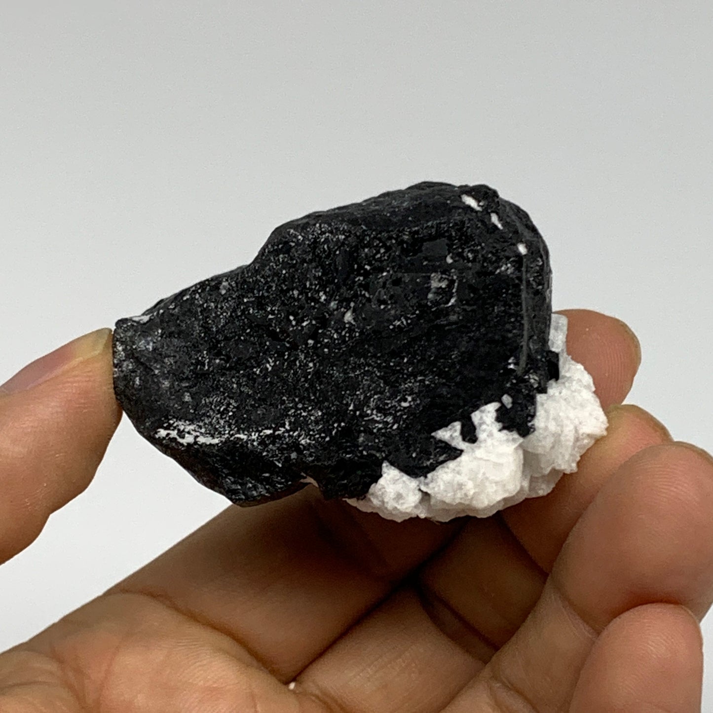 97.5g, 1.8"x1.5"x1.4", Black Tourmaline Phosphorus Mineral Specimen, B33719