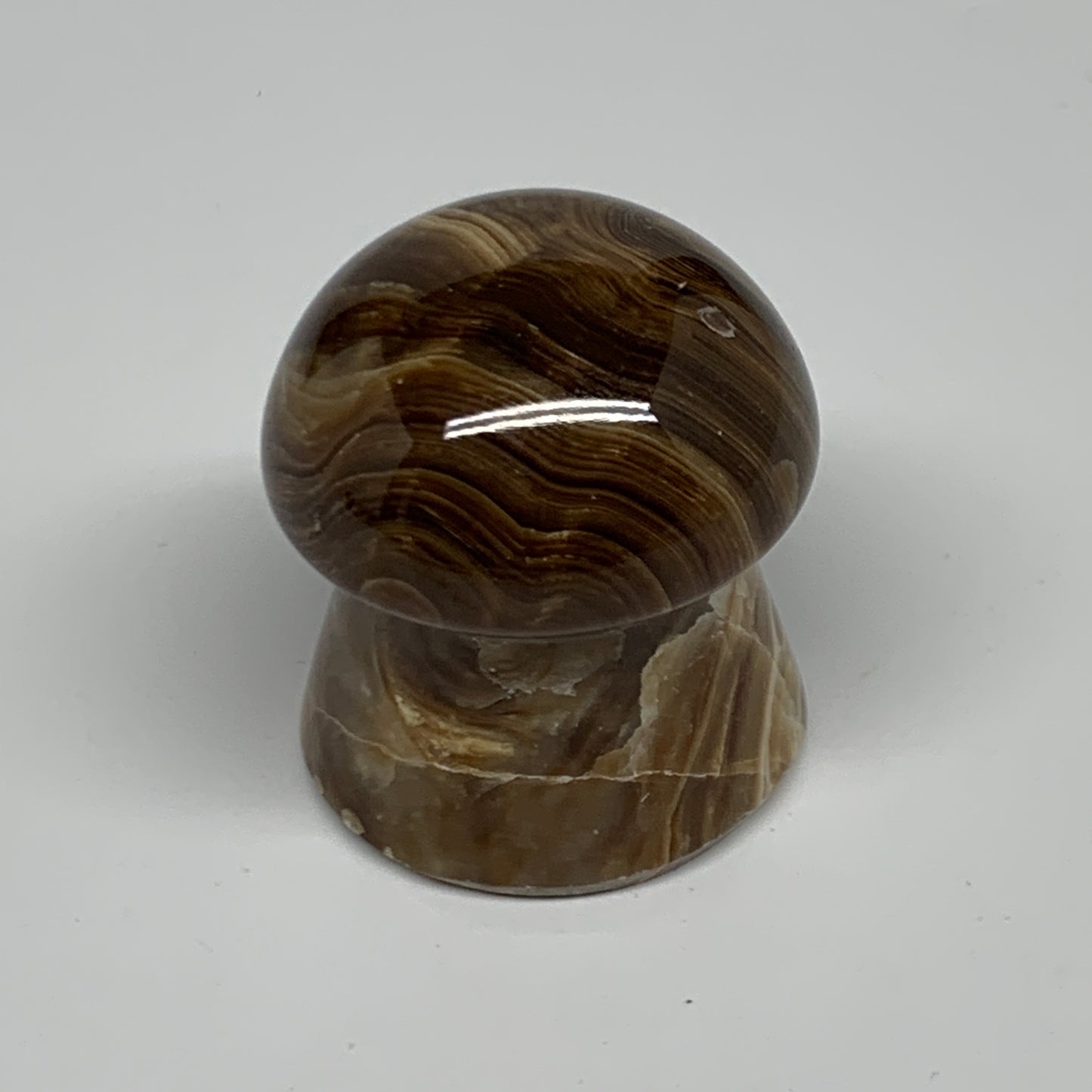 88.6g, 1.7"x1.4", Chocolate Calcite Mushroom 2 Pieces bonded @Pakistan, B31703