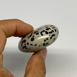 83g, 2.3"x1.7"x0.8", Natural Dalmatian Jasper Palm-Stone @India, B29448