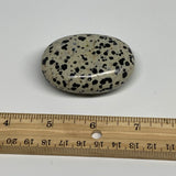 83g, 2.3"x1.7"x0.8", Natural Dalmatian Jasper Palm-Stone @India, B29448