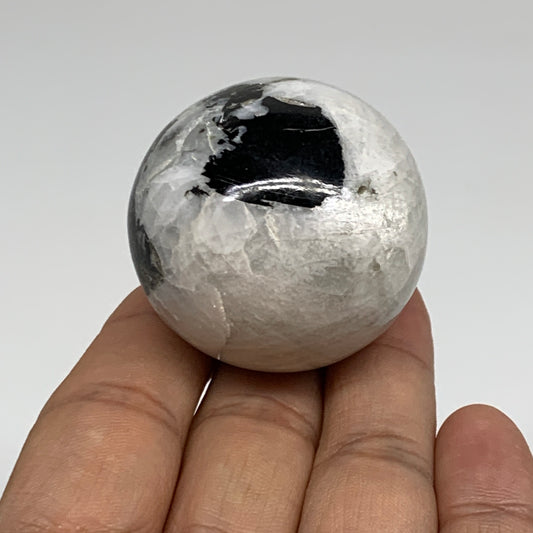 89.6g, 1.6"(40mm), Natural Rainbow Moonstone Sphere Ball Gemstone, B35144