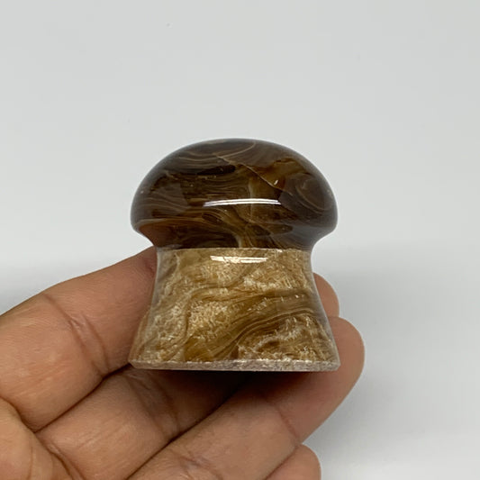 87.8g, 1.6"x1.5", Chocolate Calcite Mushroom 2 Pieces bonded @Pakistan, B31702