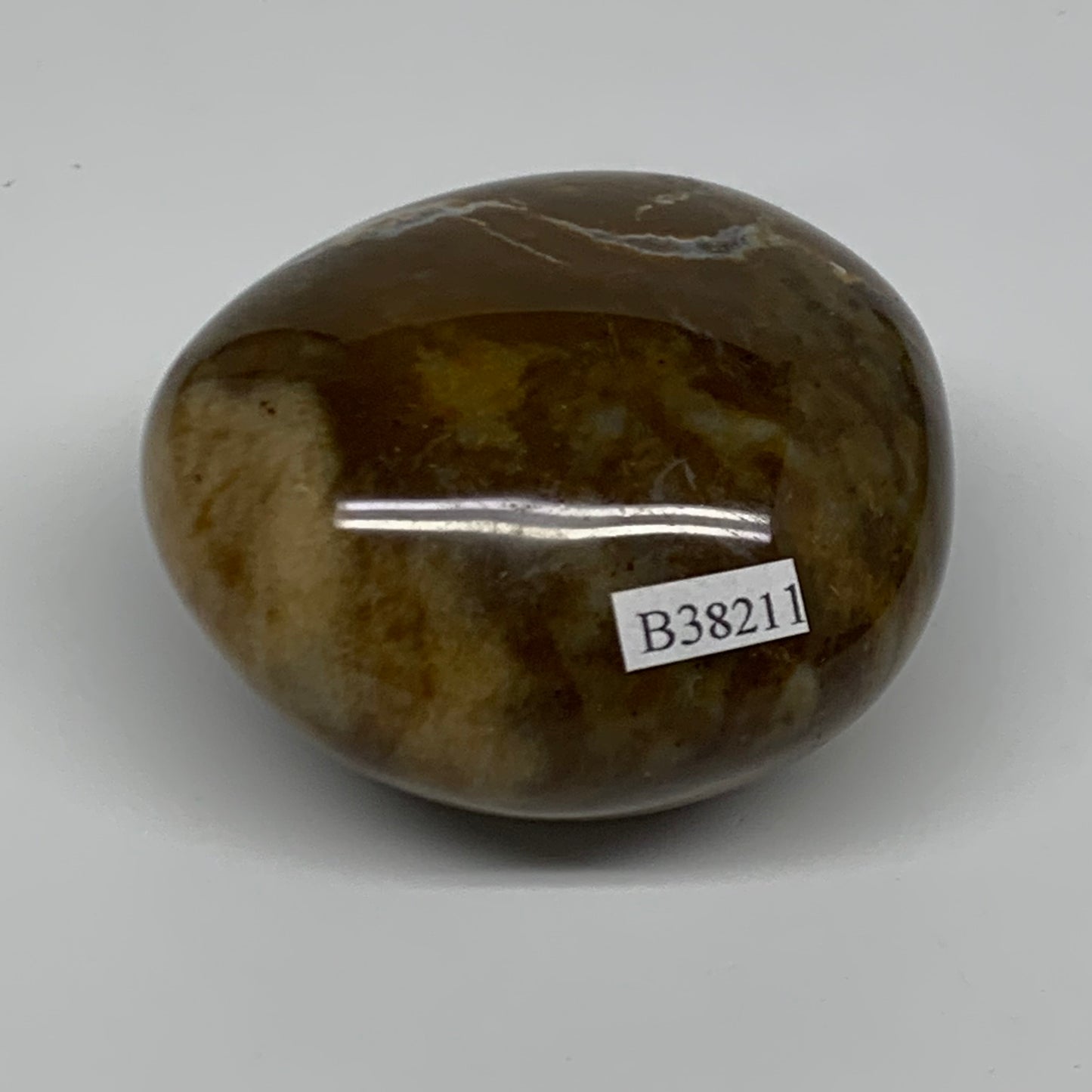 215.1g, 2.5"x2.3"x1.6" Natural Ocean Jasper Palm-Stone Orbicular Jasper, B38211