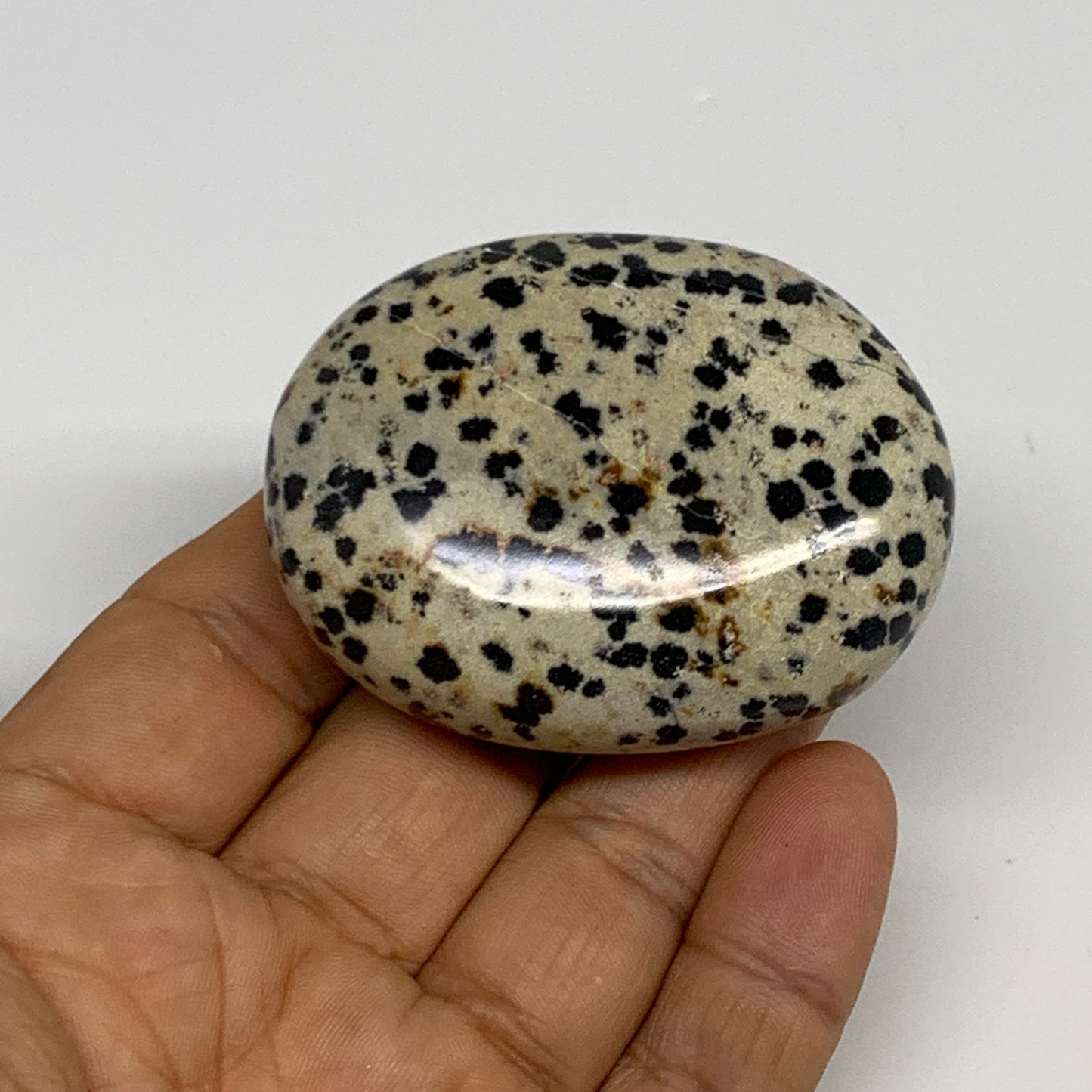 83.7g, 2.2"x1.7"x0.8", Natural Dalmatian Jasper Palm-Stone @India, B29449