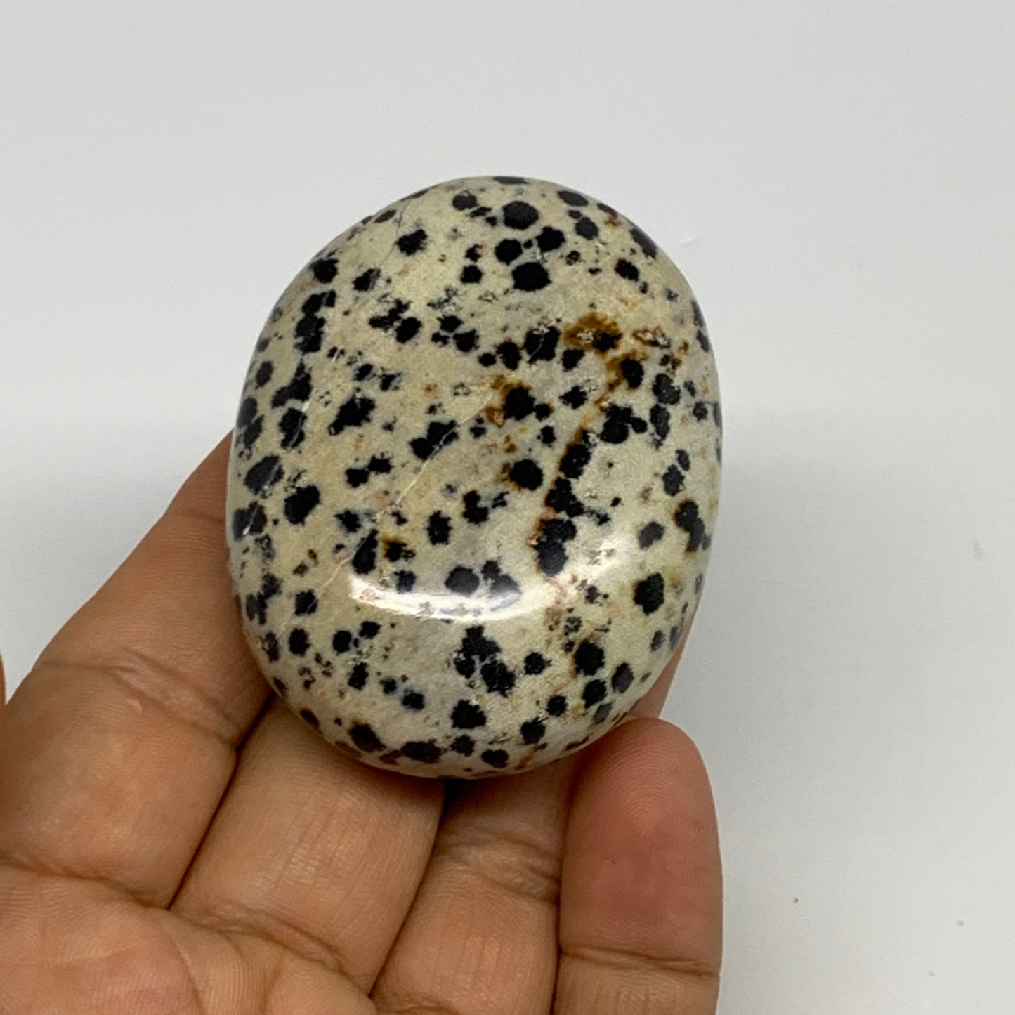 83.7g, 2.2"x1.7"x0.8", Natural Dalmatian Jasper Palm-Stone @India, B29449