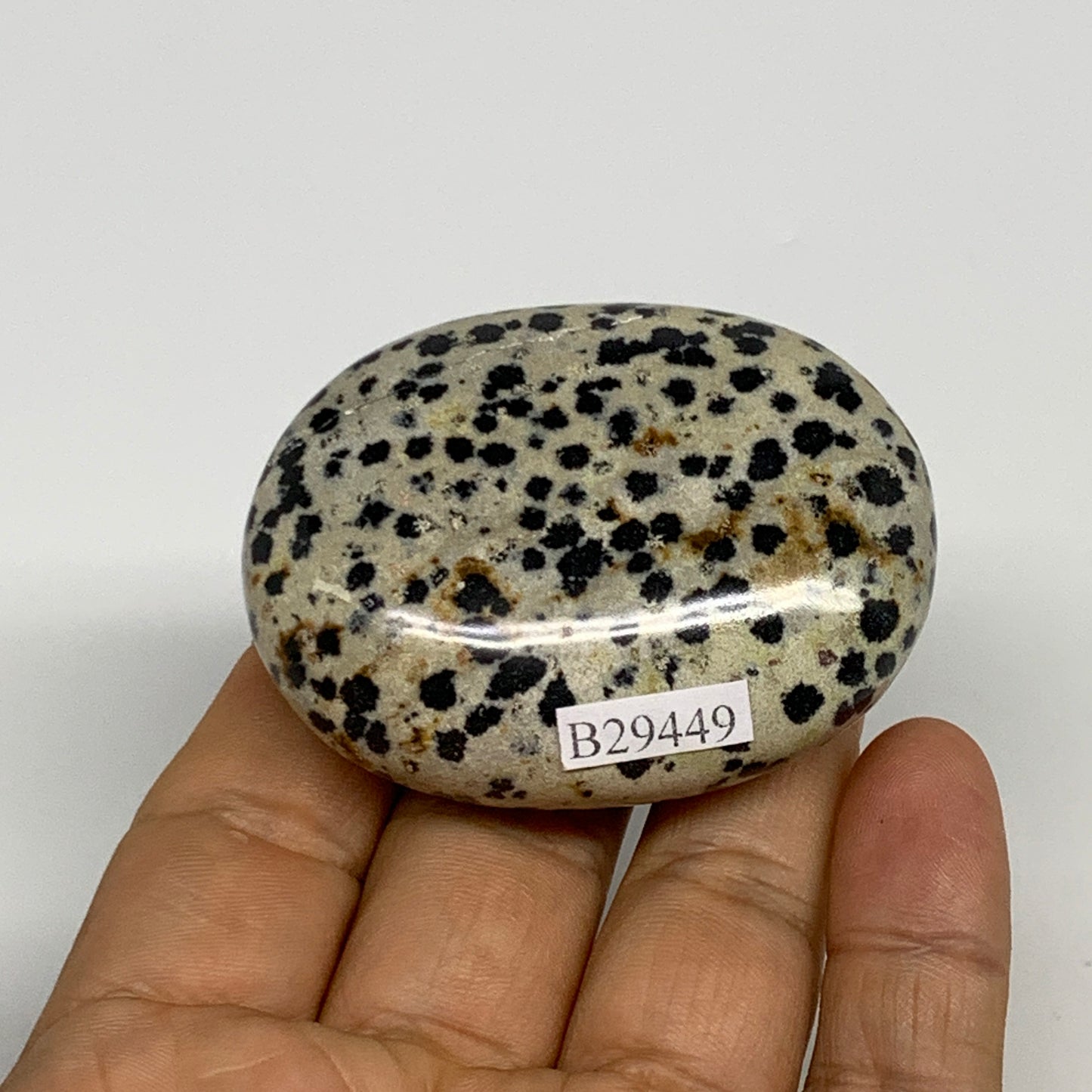 83.7g, 2.2"x1.7"x0.8", Natural Dalmatian Jasper Palm-Stone @India, B29449