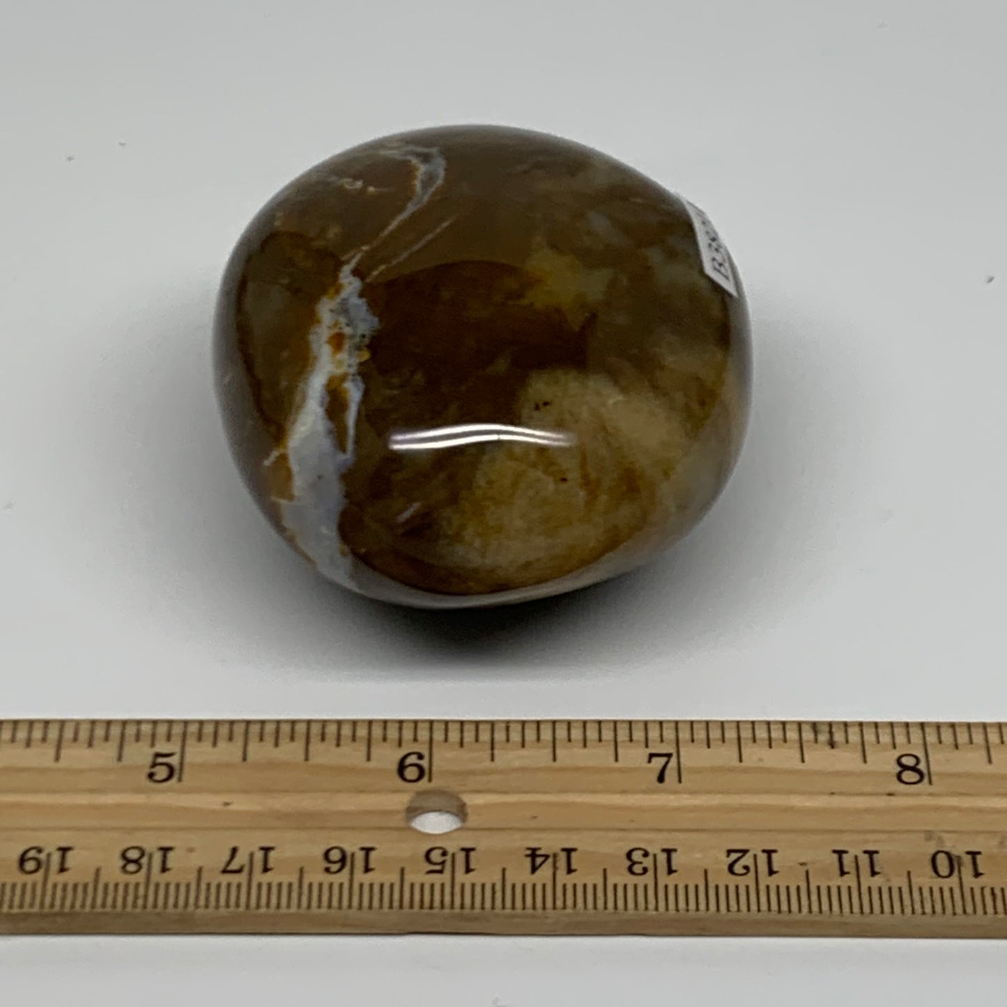 215.1g, 2.5"x2.3"x1.6" Natural Ocean Jasper Palm-Stone Orbicular Jasper, B38211