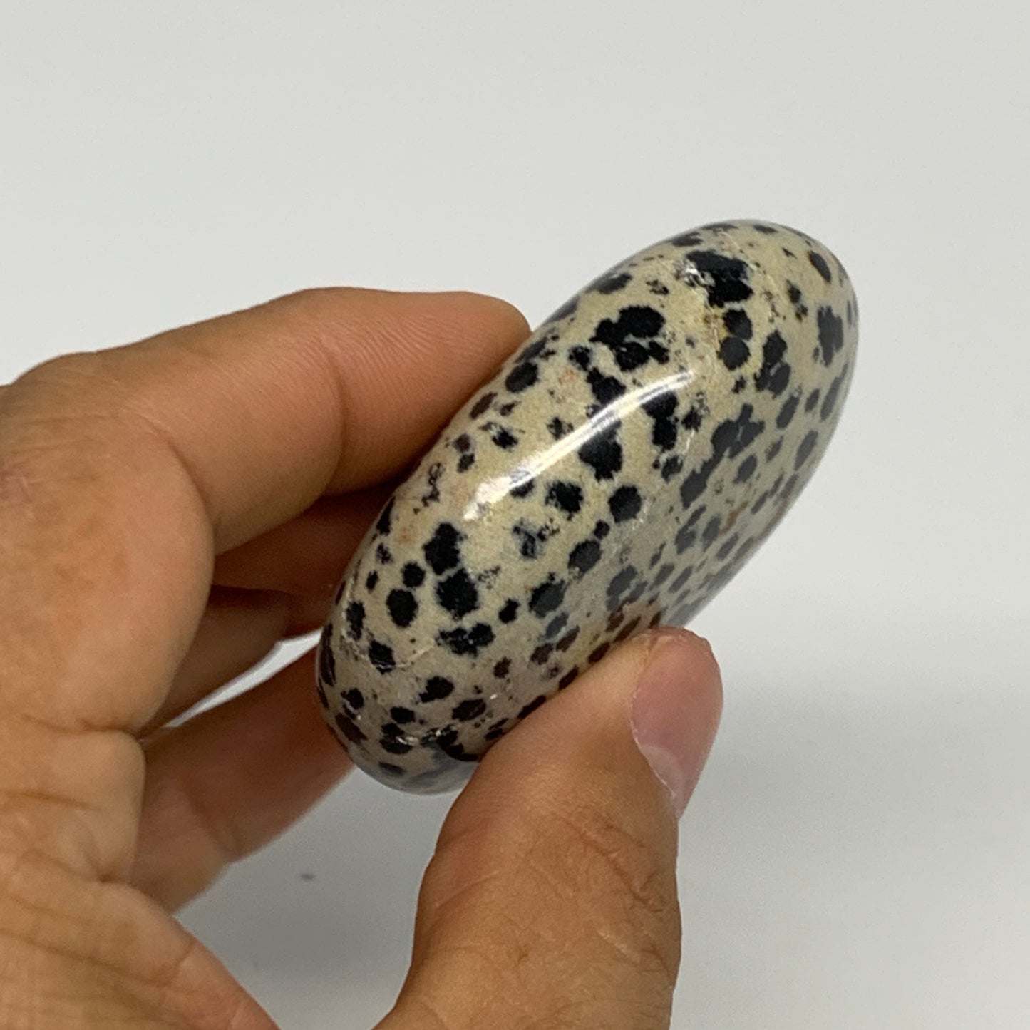83.7g, 2.2"x1.7"x0.8", Natural Dalmatian Jasper Palm-Stone @India, B29449