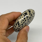83.7g, 2.2"x1.7"x0.8", Natural Dalmatian Jasper Palm-Stone @India, B29449