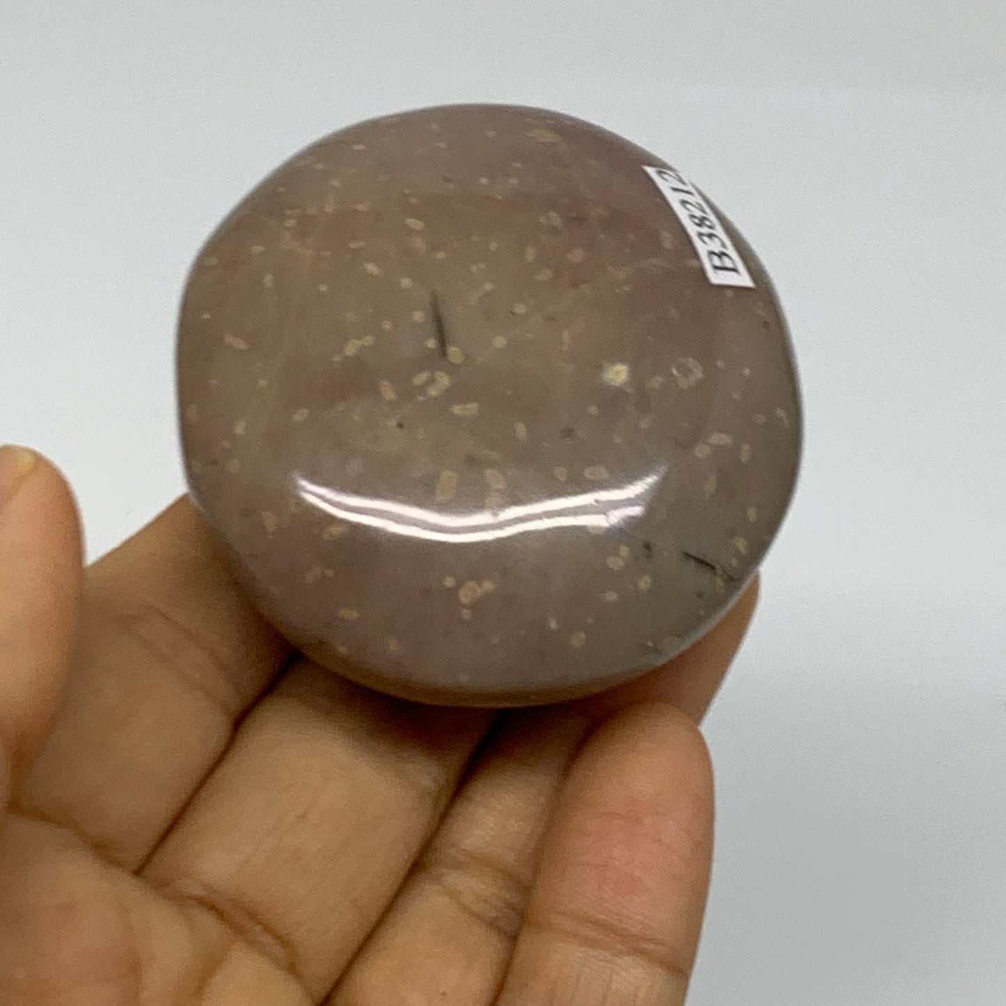 118.5g, 2.3"x2.1"x1.1" Natural Ocean Jasper Palm-Stone Orbicular Jasper, B38212