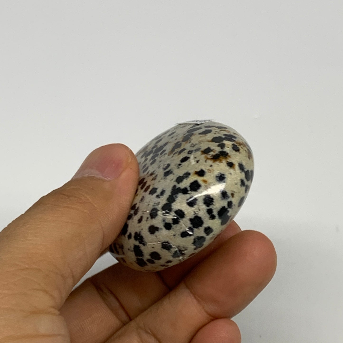 83.7g, 2.2"x1.7"x0.8", Natural Dalmatian Jasper Palm-Stone @India, B29449