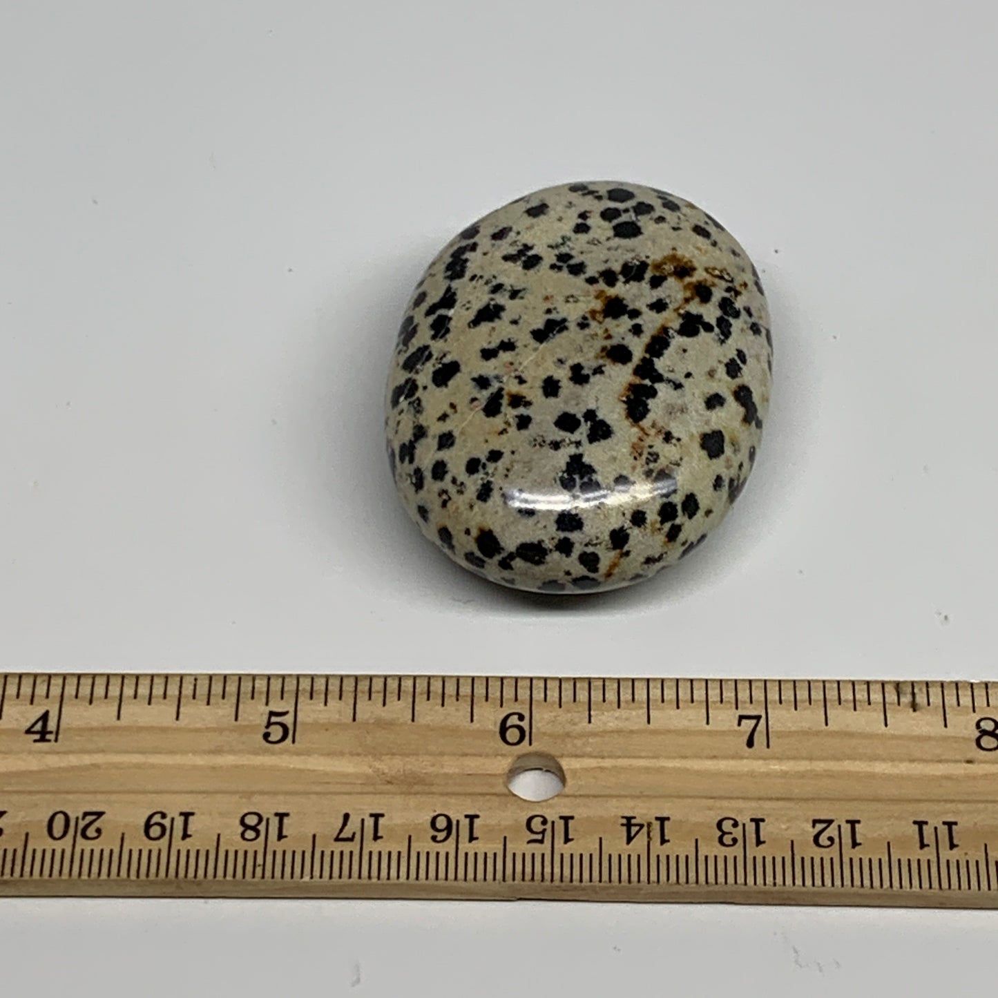 83.7g, 2.2"x1.7"x0.8", Natural Dalmatian Jasper Palm-Stone @India, B29449