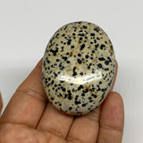 79.3g, 2.3"x1.7"x0.8", Natural Dalmatian Jasper Palm-Stone @India, B29450