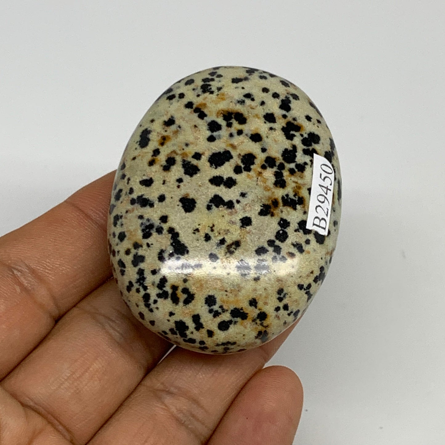 79.3g, 2.3"x1.7"x0.8", Natural Dalmatian Jasper Palm-Stone @India, B29450