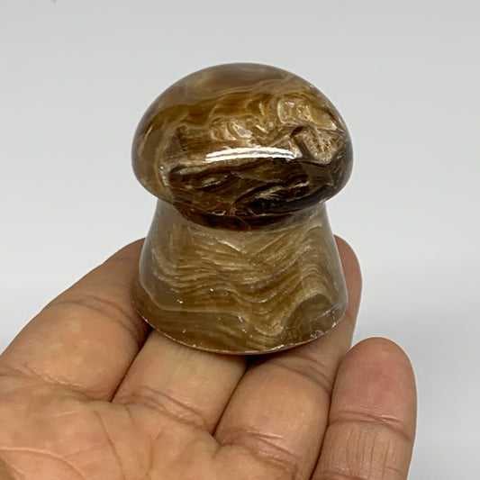 94.4g, 1.7x1.5", Chocolate Calcite Mushroom 2 Pieces bonded @Pakistan, B31701