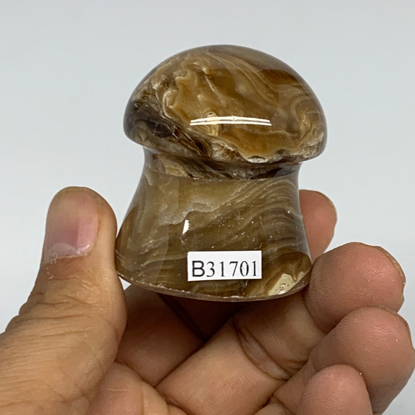94.4g, 1.7x1.5", Chocolate Calcite Mushroom 2 Pieces bonded @Pakistan, B31701