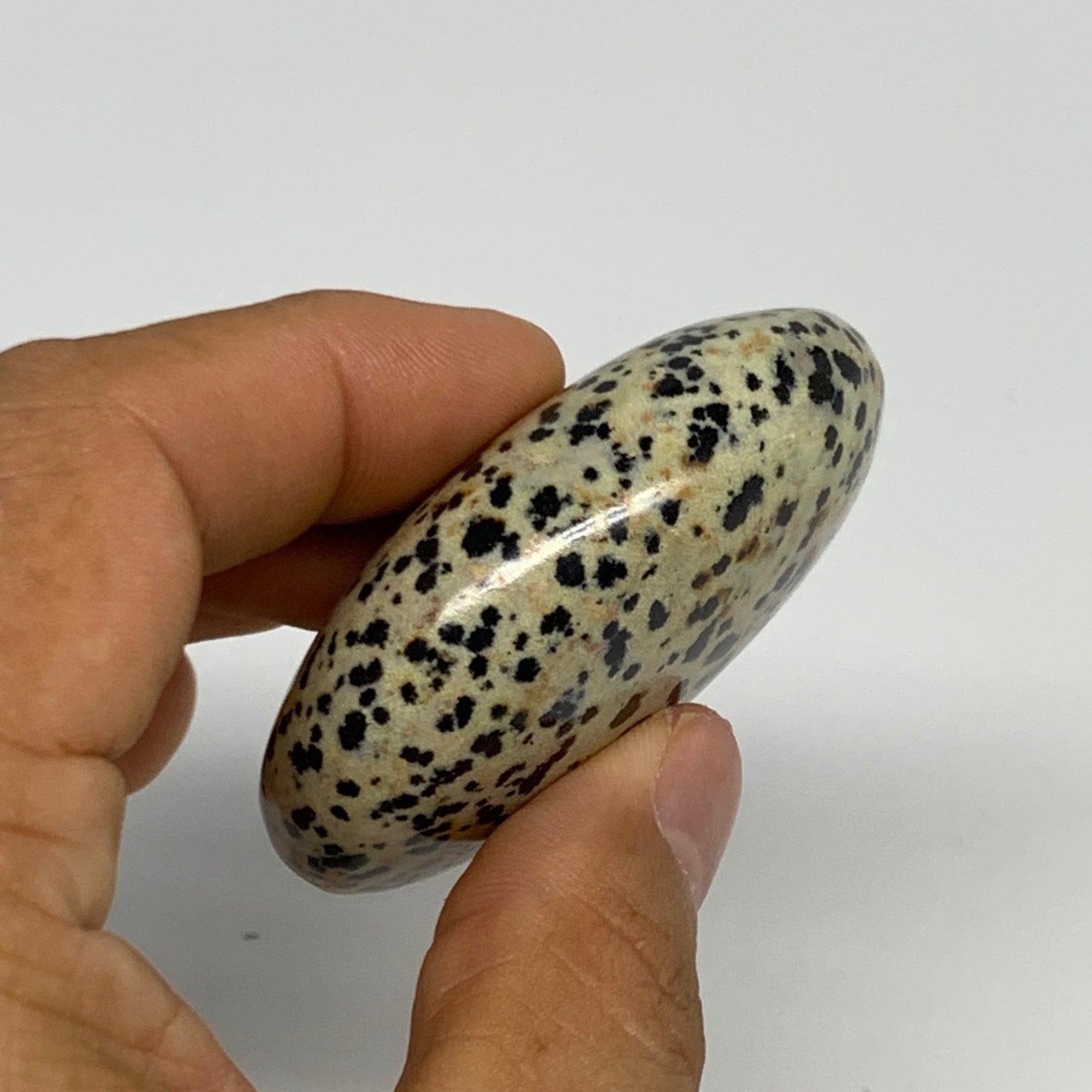 79.3g, 2.3"x1.7"x0.8", Natural Dalmatian Jasper Palm-Stone @India, B29450