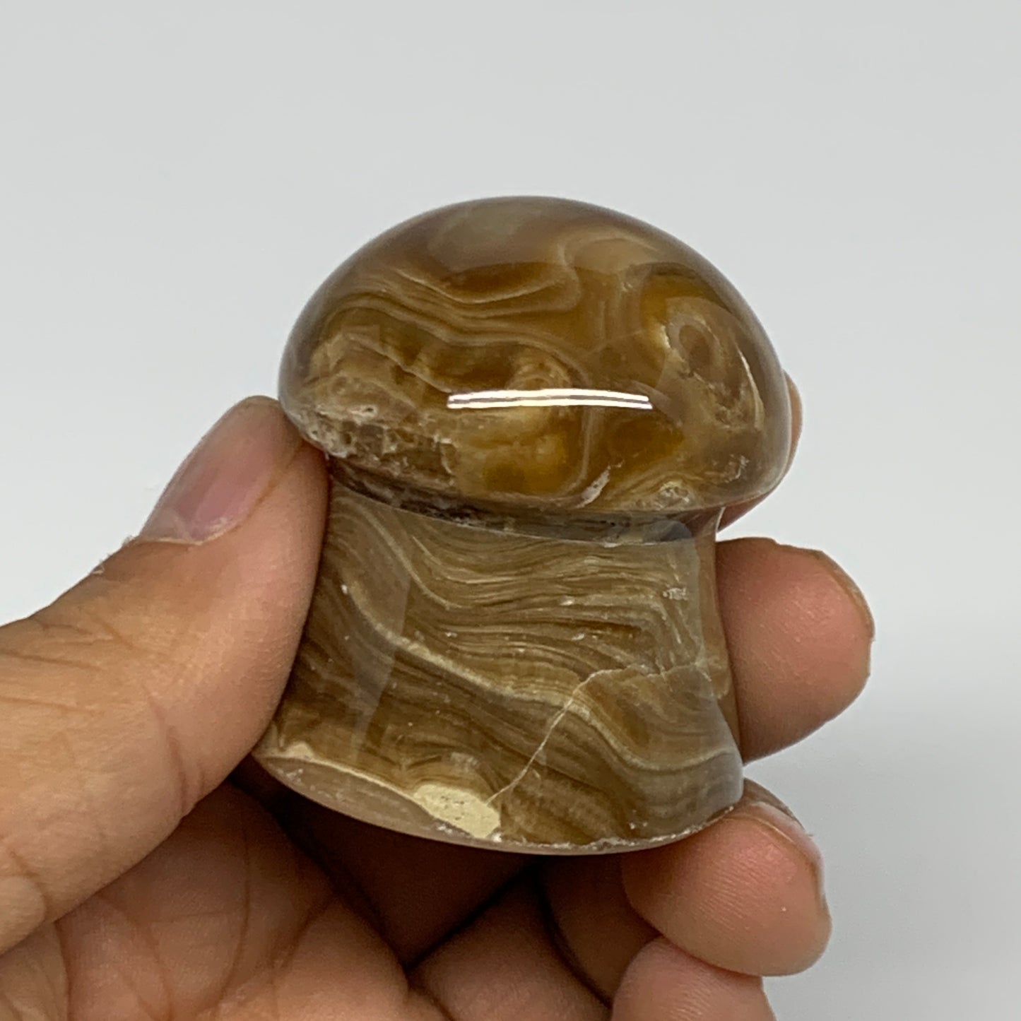 94.4g, 1.7x1.5", Chocolate Calcite Mushroom 2 Pieces bonded @Pakistan, B31701