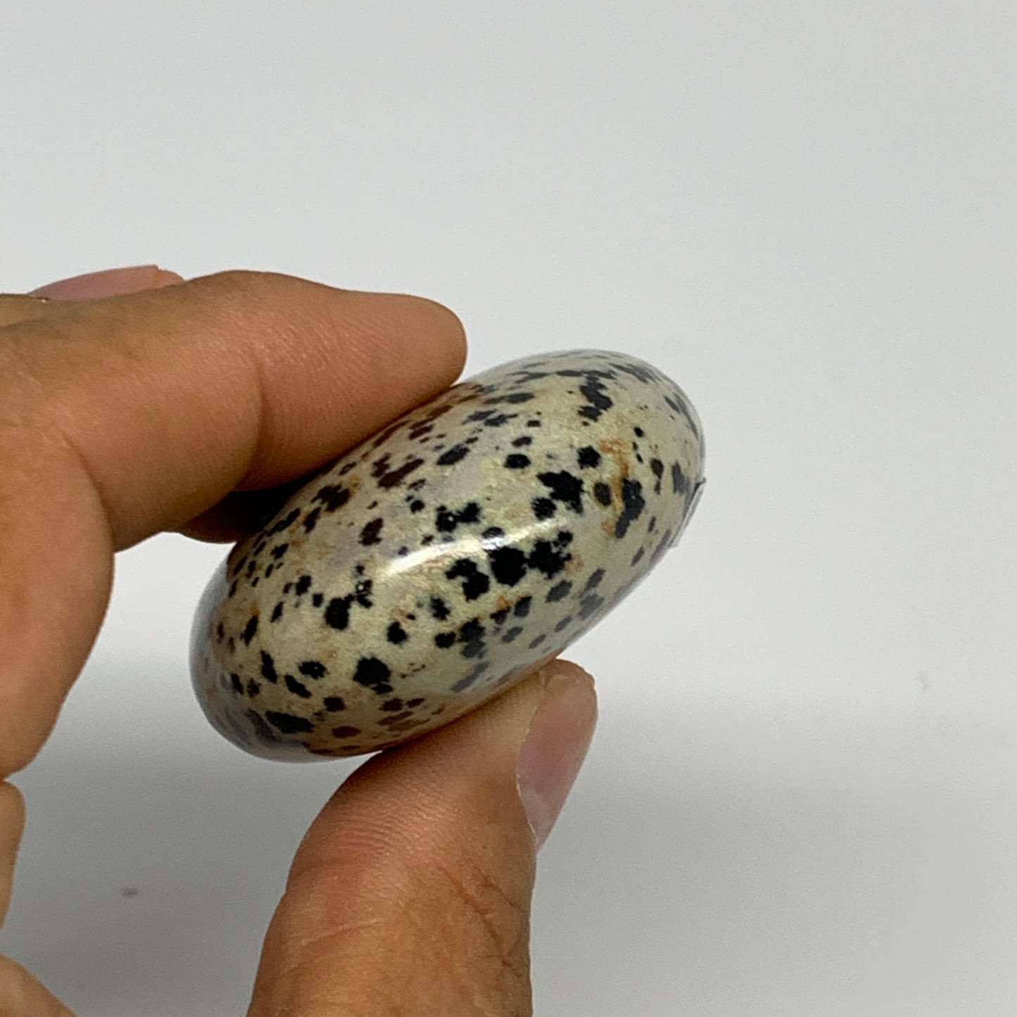 79.3g, 2.3"x1.7"x0.8", Natural Dalmatian Jasper Palm-Stone @India, B29450