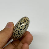 79.3g, 2.3"x1.7"x0.8", Natural Dalmatian Jasper Palm-Stone @India, B29450