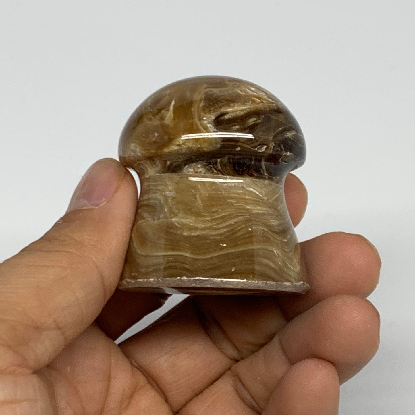 94.4g, 1.7x1.5", Chocolate Calcite Mushroom 2 Pieces bonded @Pakistan, B31701