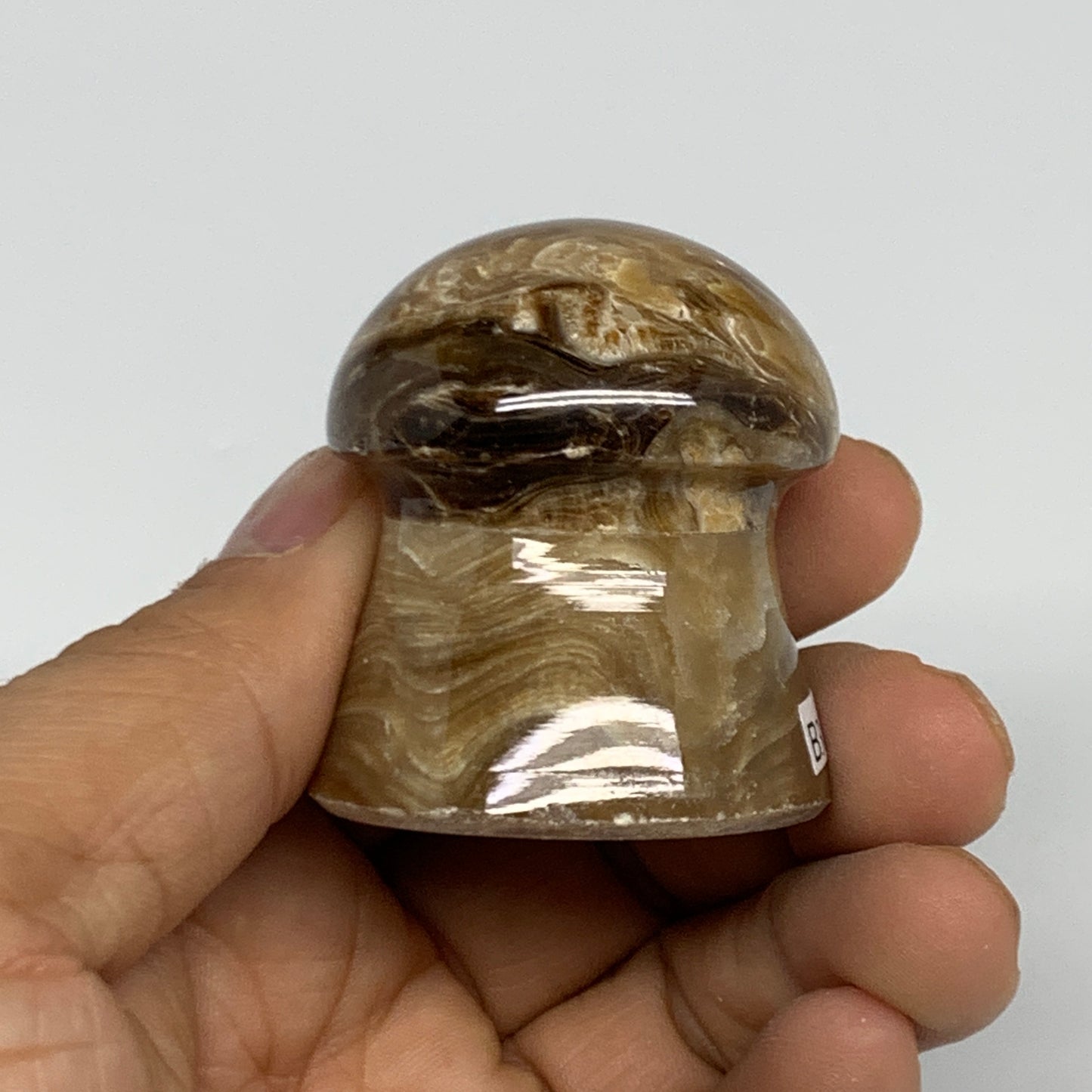 94.4g, 1.7x1.5", Chocolate Calcite Mushroom 2 Pieces bonded @Pakistan, B31701