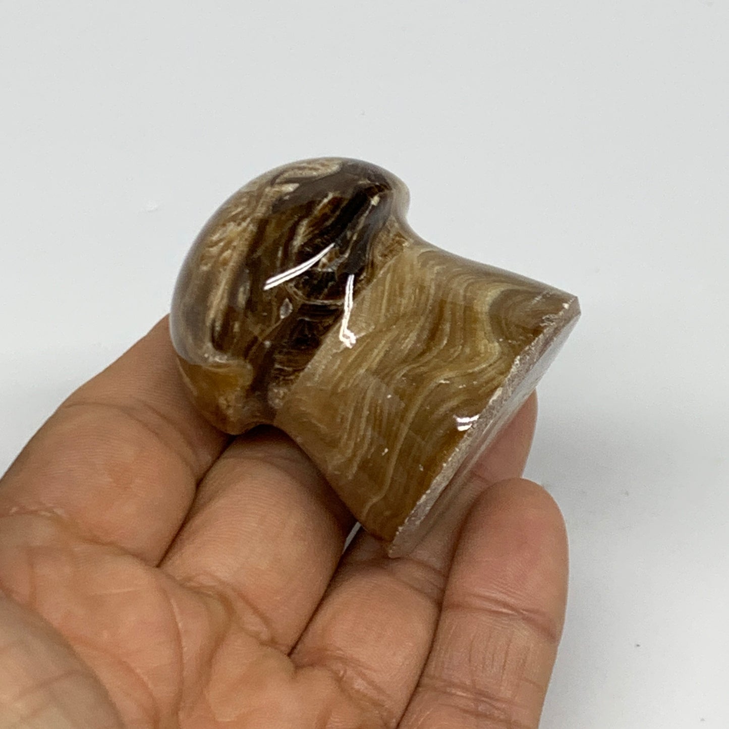 94.4g, 1.7x1.5", Chocolate Calcite Mushroom 2 Pieces bonded @Pakistan, B31701