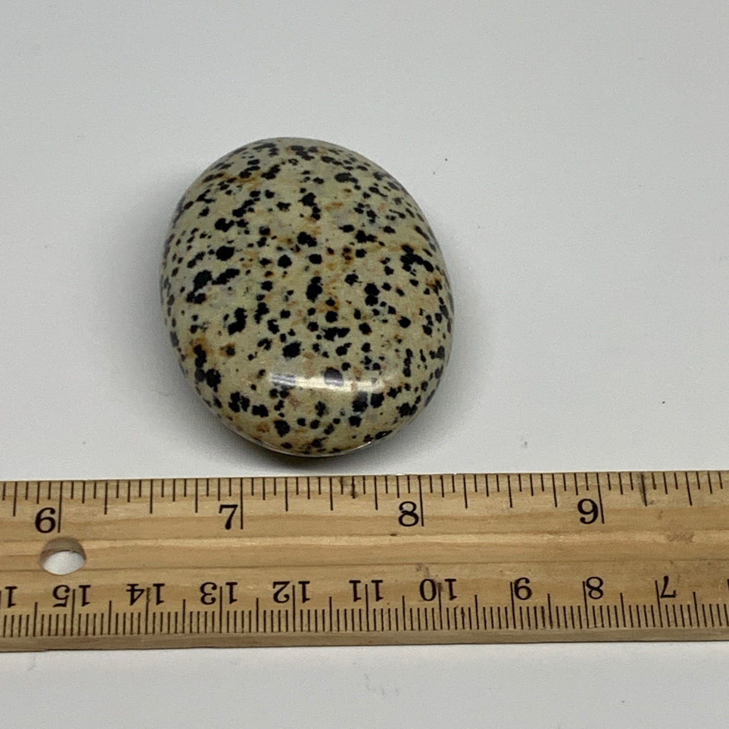 79.3g, 2.3"x1.7"x0.8", Natural Dalmatian Jasper Palm-Stone @India, B29450