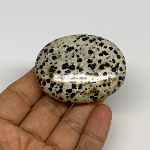 76.3g, 2.2"x1.8"x0.8", Natural Dalmatian Jasper Palm-Stone @India, B29451