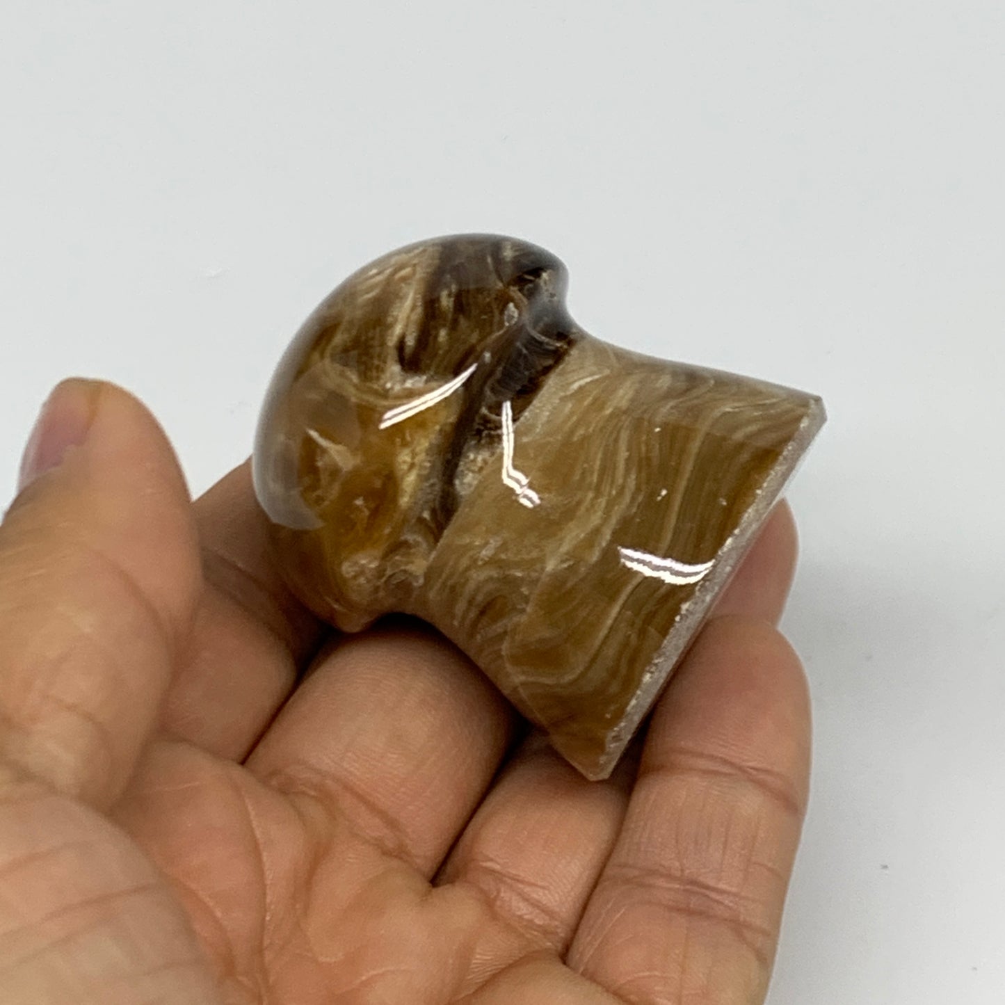 94.4g, 1.7x1.5", Chocolate Calcite Mushroom 2 Pieces bonded @Pakistan, B31701