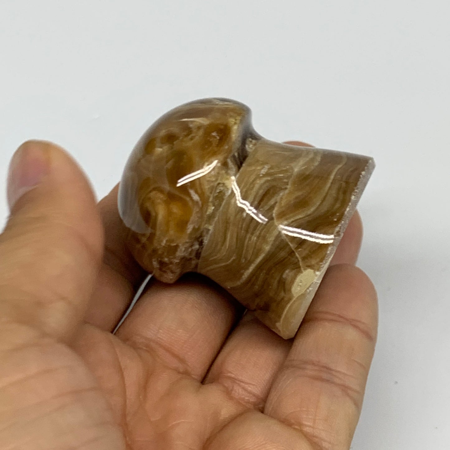 94.4g, 1.7x1.5", Chocolate Calcite Mushroom 2 Pieces bonded @Pakistan, B31701
