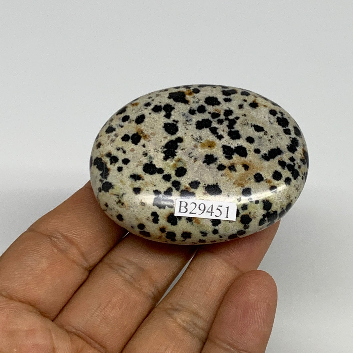 76.3g, 2.2"x1.8"x0.8", Natural Dalmatian Jasper Palm-Stone @India, B29451