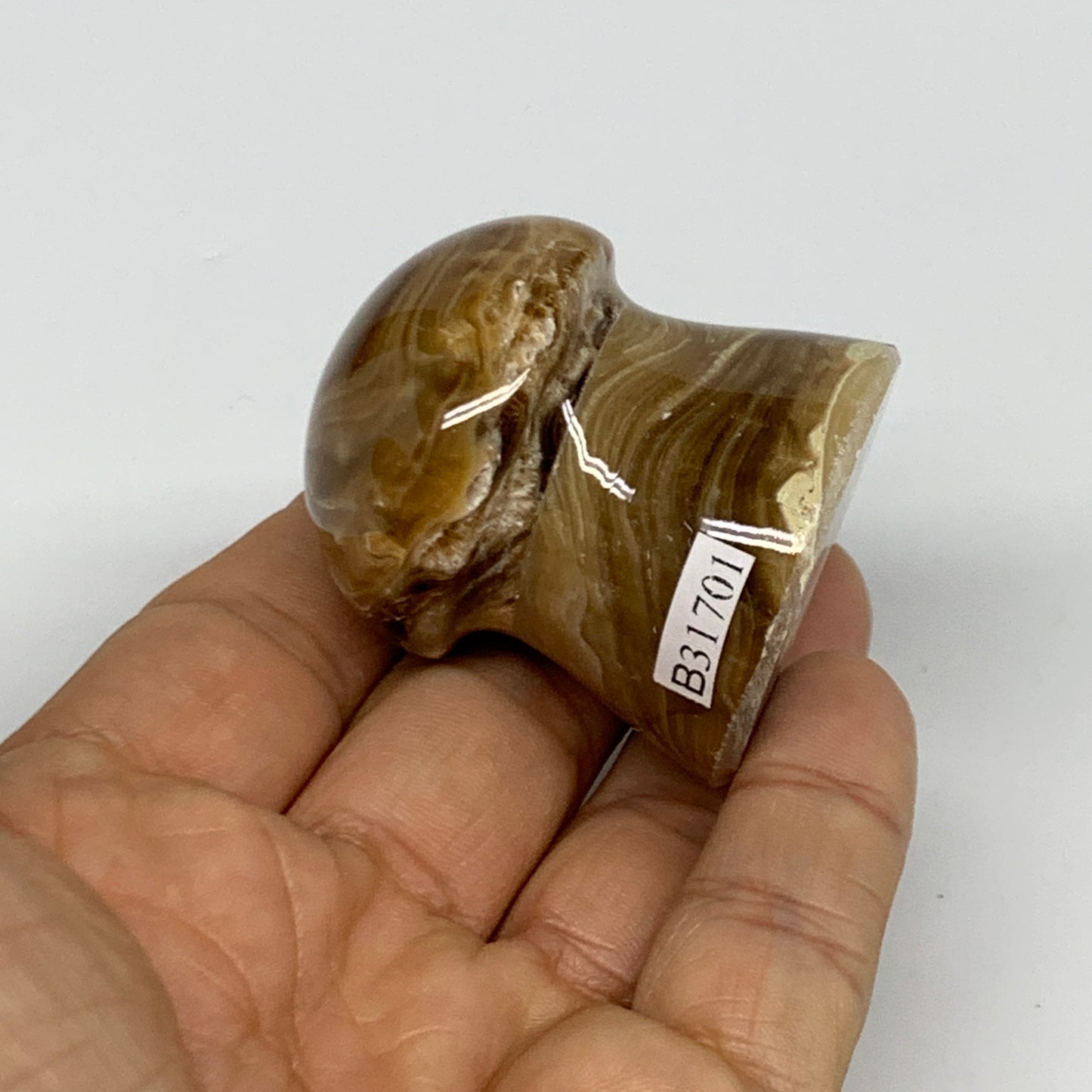 94.4g, 1.7x1.5", Chocolate Calcite Mushroom 2 Pieces bonded @Pakistan, B31701