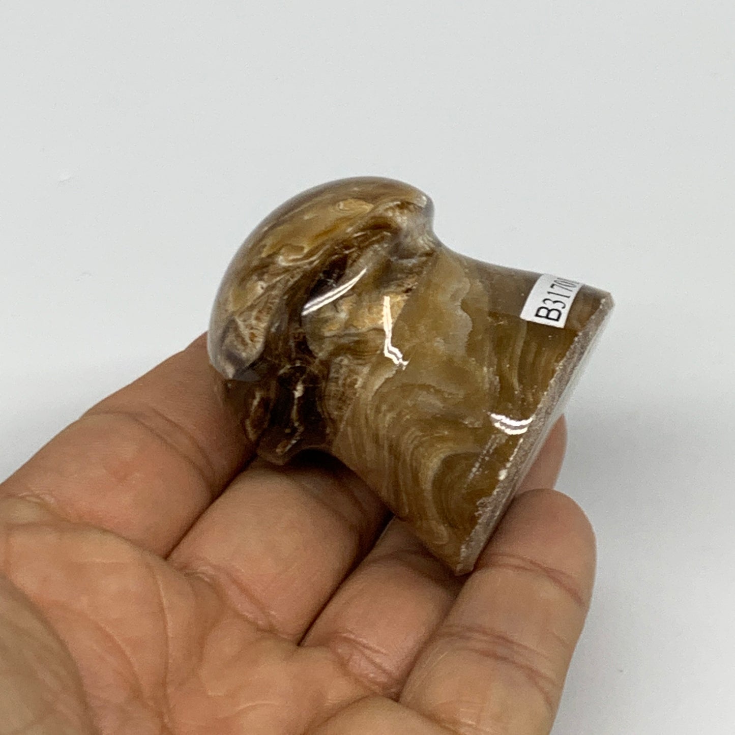 94.4g, 1.7x1.5", Chocolate Calcite Mushroom 2 Pieces bonded @Pakistan, B31701