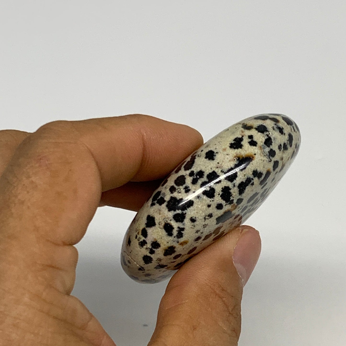 76.3g, 2.2"x1.8"x0.8", Natural Dalmatian Jasper Palm-Stone @India, B29451