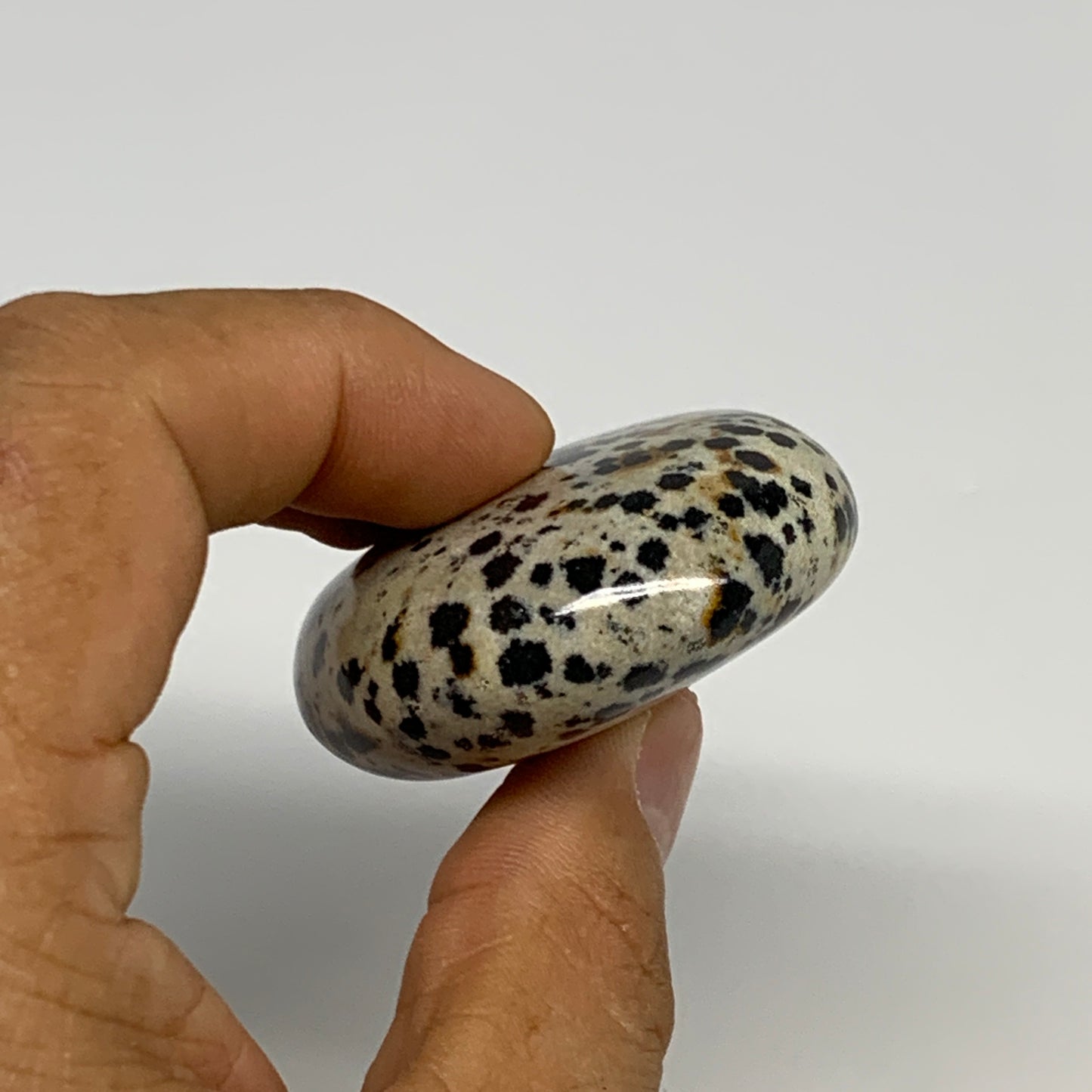 76.3g, 2.2"x1.8"x0.8", Natural Dalmatian Jasper Palm-Stone @India, B29451